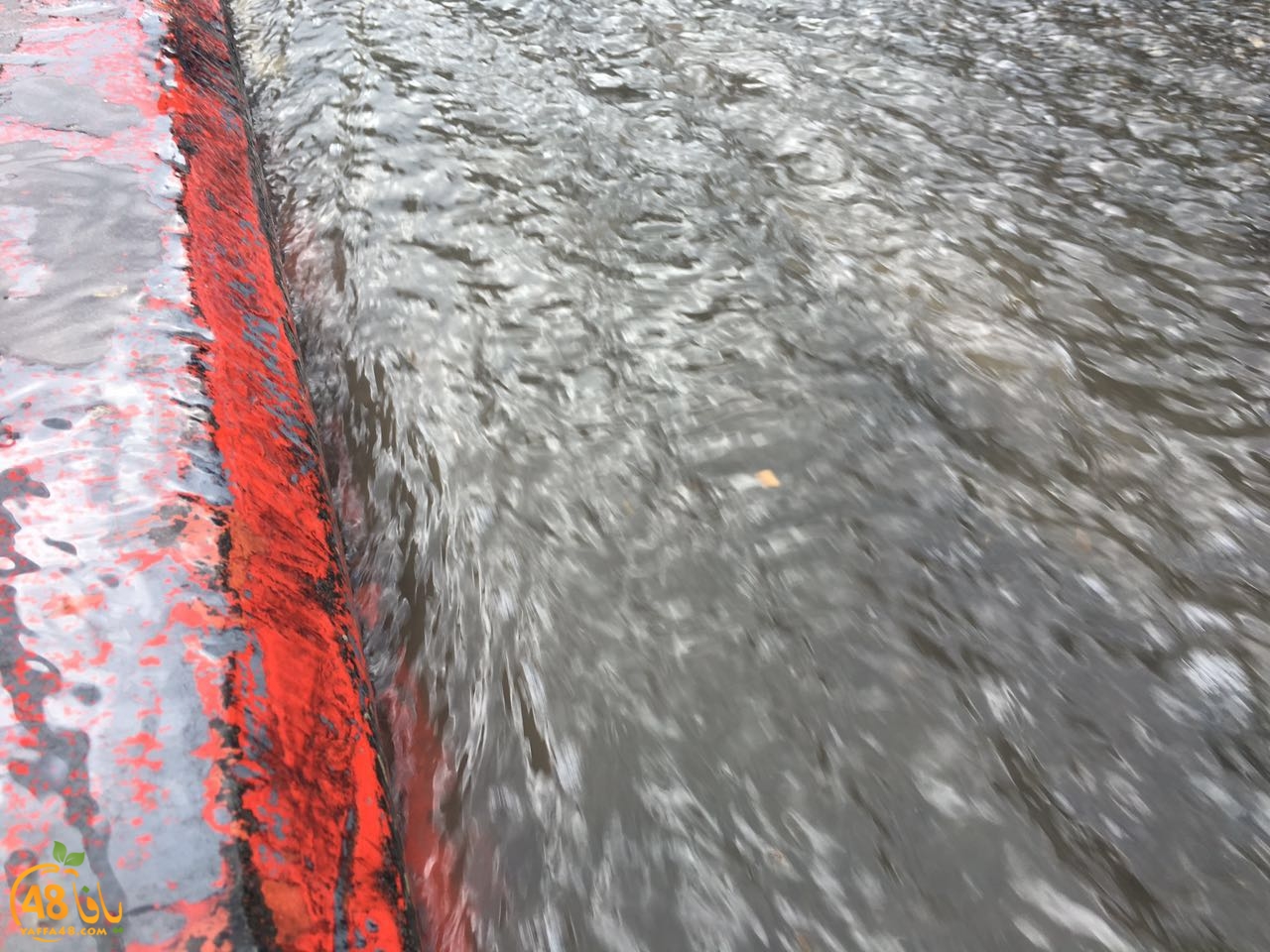 rain in yaffa (10).jpg